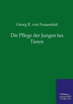 Pflege der Jungen bei Tieren