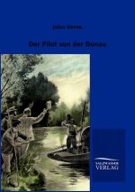 Pilot von der Donau