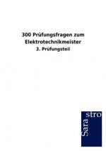 300 Prufungsfragen zum Elektrotechnikmeister