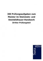 300 Prufungsaufgaben zum Meister im Steinmetz- und Steinbildhauer-Handwerk