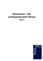 Netzmeister - Das prufungsrelevante Wissen