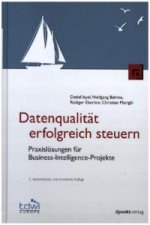 Datenqualität erfolgreich steuern
