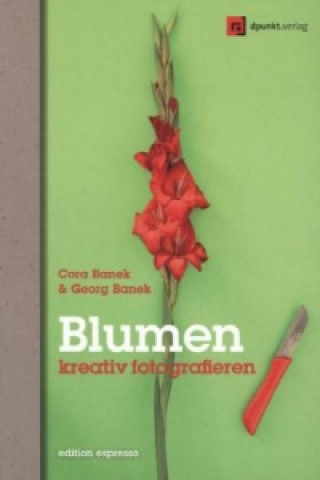 Blumen kreativ fotografieren