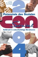 Potenziale des Sozialen