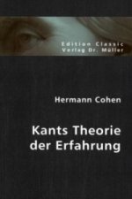 Kants Theorie der Erfahrung