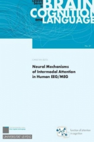 Neural Mechanisms of Intermodal Attention in Human EEG/MEG