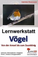 Lernwerkstatt Vögel