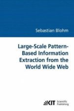 Large-Scale Pattern-Based Information Extraction from the World Wide Web