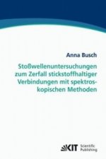 Stosswellenuntersuchungen zum Zerfall stickstoffhaltiger Verbindungen mit spektroskopischen Methoden