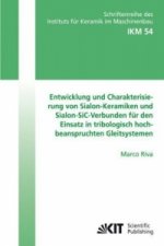 Entwicklung und Charakterisierung von Sialon-Keramiken und Sialon-SiC-Verbunden fur den Einsatz in tribologisch hochbeanspruchten Gleitsystemen