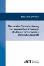 Thermische Charakterisierung von keramischen Schwammstrukturen fur verfahrenstechnische Apparate