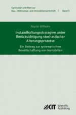 Instandhaltungsstrategien unter Berucksichtigung stochastischer Alterungsprozesse