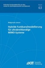 Hybride Funkkanalmodellierung fur ultrabreitbandige MIMO-Systeme