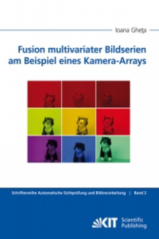 Fusion multivariater Bildserien am Beispiel eines Kamera-Arrays