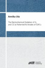 Electrochemical Oxidation of H2 and CO at Patterned Ni Anodes of SOFCs