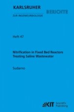 Nitrification in Fixed Bed Reactors Treating Saline Wastewater