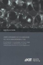 UEber keramische Schwamme als Kolonneneinbauten