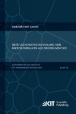 Oberflachendefektausheilung und Festigkeitssteigerung von niederdruckspritzgegossenen Mikrobiegebalken aus Zirkoniumdioxid