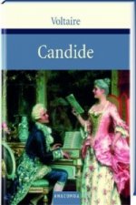 Candide oder Der Optimismus