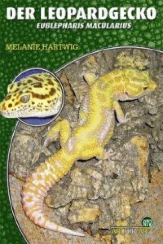 Der Leopardgecko
