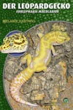 Der Leopardgecko