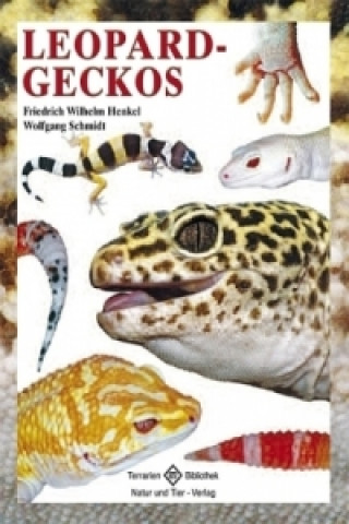 Leopardgeckos