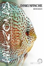 Diskusfische