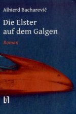 Die Elster auf dem Galgen