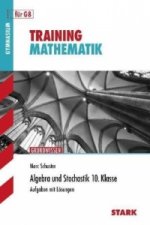 Algebra und Stochastik 10. Klasse, für G8