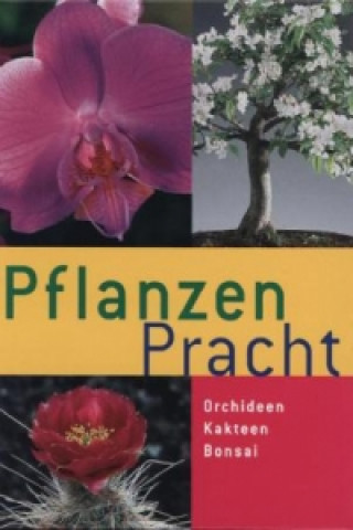 Pflanzen Pracht