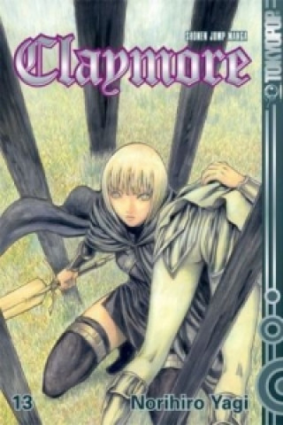 Claymore 13. Bd.13
