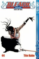 Bleach - Untugend