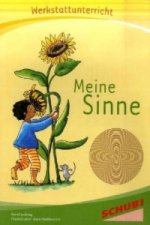 Meine Sinne