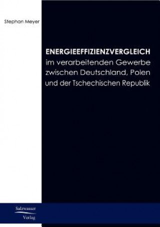 Energieeffizienzvergleich im verarbeitenden Gewerbe in Deutschland, Polen und Tschechien