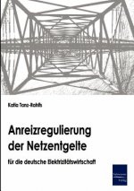 Anreizregulierung der Netzentgelte fur die deutsche Elektrizitatswirtschaft