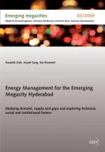 Energy Management for the Emerging Megacity Hyderabad