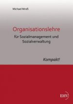 Organisationslehre Fur Sozialmanagement Und Sozialverwaltung