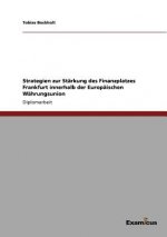 Strategien zur Starkung des Finanzplatzes Frankfurt innerhalb der Europaischen Wahrungsunion