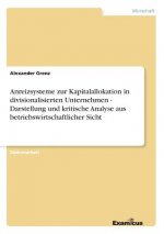 Anreizsysteme zur Kapitalallokation in divisionalisierten Unternehmen - Darstellung und kritische Analyse aus betriebswirtschaftlicher Sicht