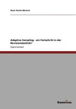 Adaptive Sampling - ein Fortschritt in der Revisionstechnik?