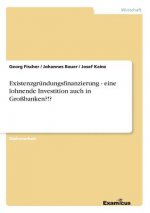 Existenzgrundungsfinanzierung - eine lohnende Investition auch in Grossbanken?!?