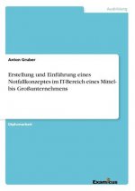 Erstellung und Einfuhrung eines Notfallkonzeptes im IT-Bereich eines Mittel- bis Grossunternehmens