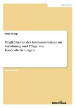 Moeglichkeiten des Interneteinsatzes zur Anbahnung und Pflege von Kundenbeziehungen