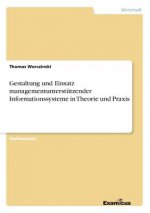 Gestaltung und Einsatz managementunterstutzender Informationssysteme in Theorie und Praxis