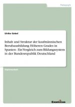 Inhalt und Struktur der kaufmannischen Berufsausbildung Hoeheren Grades in Spanien - Ein Vergleich zum Bildungssystem in der Bundesrepublik Deutschlan