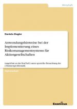Anwendungshinweise bei der Implementierung eines Risikomanagementsystems fur Aktiengesellschaften
