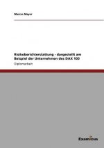 Risikoberichterstattung - dargestellt am Beispiel der Unternehmen des DAX 100