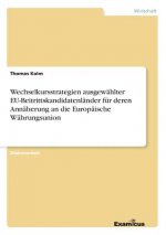 Wechselkursstrategien ausgewahlter EU-Beitrittskandidatenlander fur deren Annaherung an die Europaische Wahrungsunion