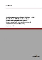 Foerderung von hypoaktiven Kindern in der Grundschule - Moeglichkeiten einer kontinuierlichen Entwicklung in Zusammenarbeit von schulischer und ausser