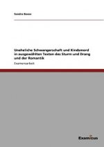 Uneheliche Schwangerschaft und Kindsmord in ausgewahlten Texten des Sturm und Drang und der Romantik